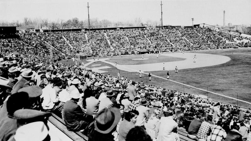 A Denver Bears Game